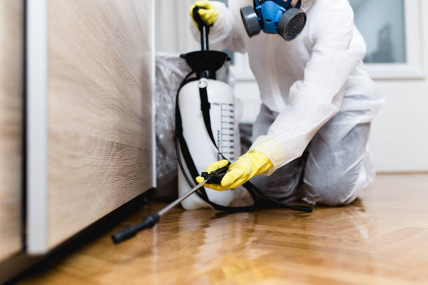 Best Cockroach Control Services  in Knox, PA