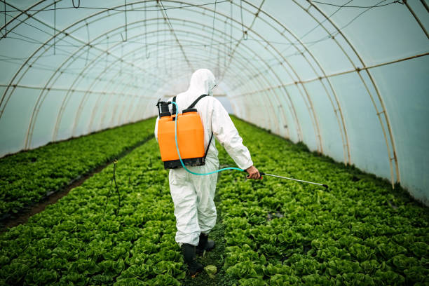 Best Commercial Pest Control Services  in Knox, PA