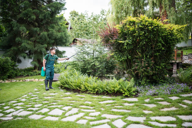 Best Mosquito Control Services  in Knox, PA
