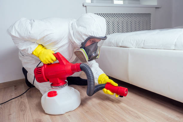Best Cockroach Control Services  in Knox, PA