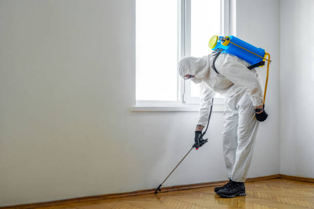 Best Flea Control Services  in Knox, PA