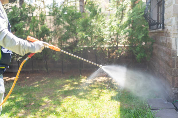 Best Affordable Pest Control Services  in Knox, PA