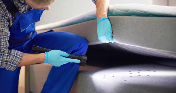 Best Emergency Pest Control  in Knox, PA