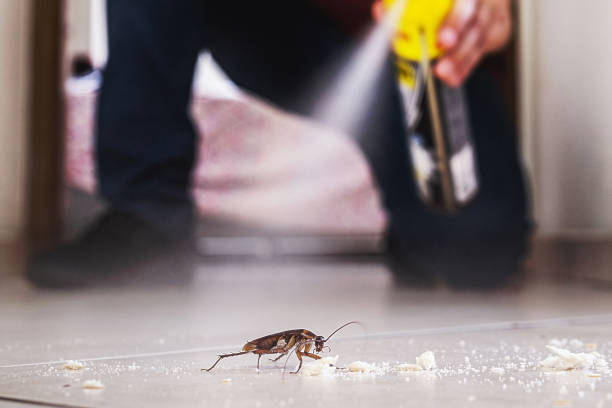 Best Best Pest Control Companies  in Knox, PA