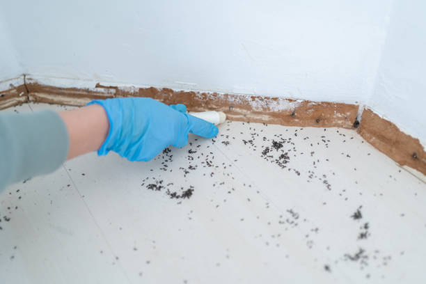 Best Pest Control Near Me  in Knox, PA