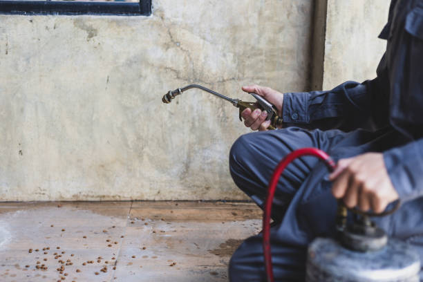 Best Wasp Removal Services  in Knox, PA