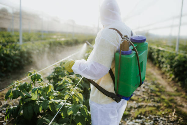 Best Exterminator Services  in Knox, PA